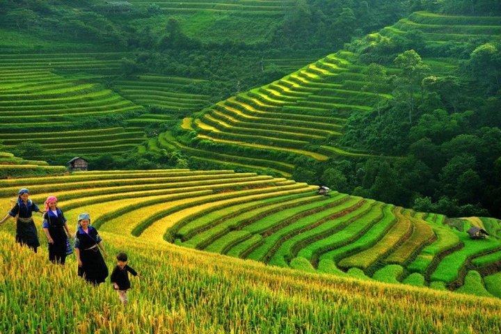 Private Car: From Ninh Binh (Tam Coc,Trang An) To Sapa