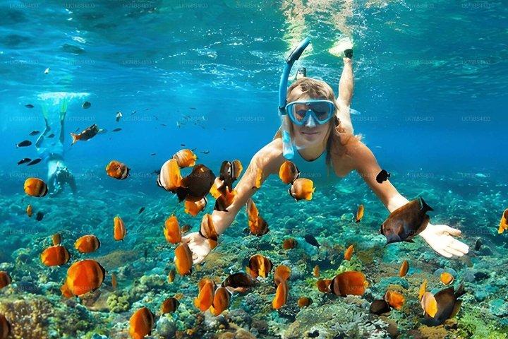 Snorkeling In Pasikudah Reef