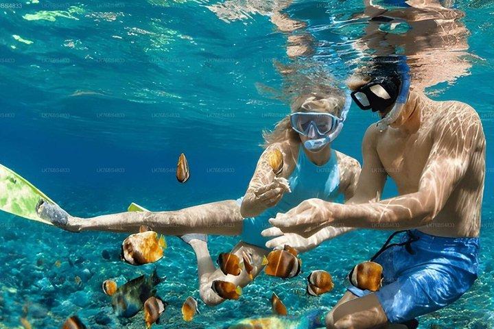 Snorkeling In Pasikudah Reef