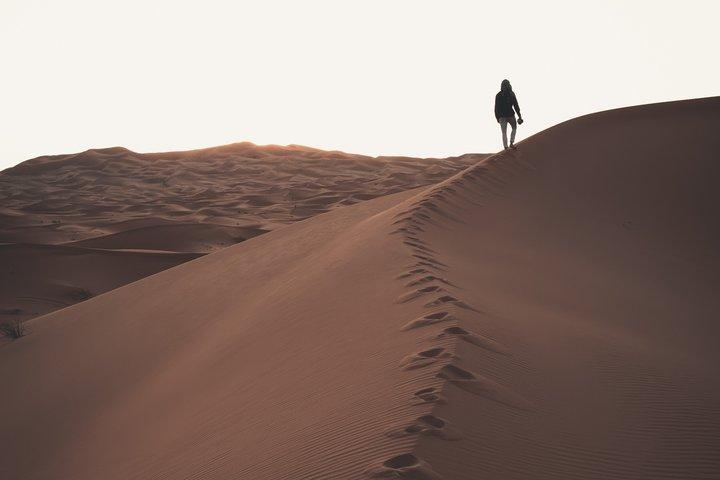 Dubai Morning Desert Safari