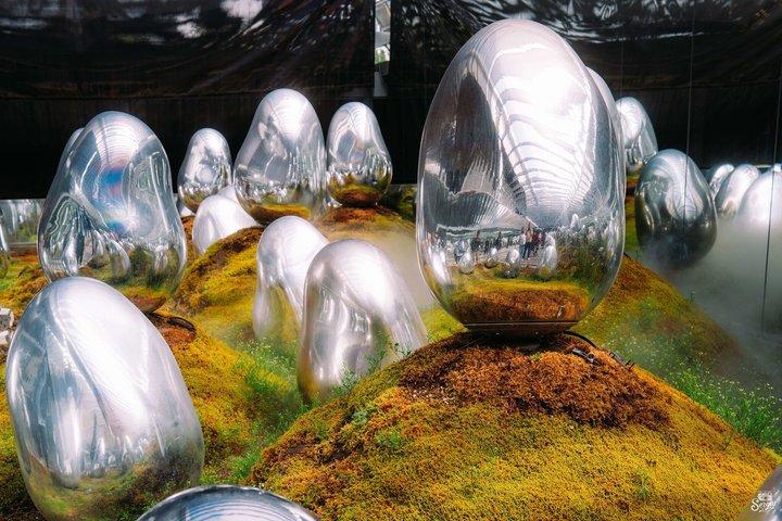 TeamLab Planets TOKYO Admission Entry Ticket