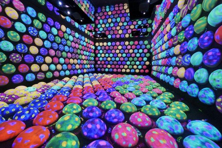 TeamLab Planets TOKYO Admission Entry Ticket