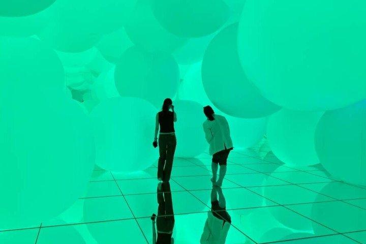 TeamLab Planets TOKYO Admission Entry Ticket