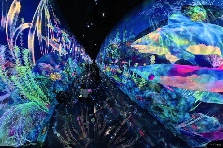 TeamLab Planets TOKYO Admission Entry Ticket