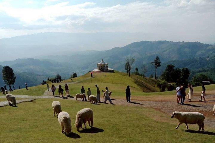 Chiang Rai to Chiang Mai Private Scenic Transfer Tour