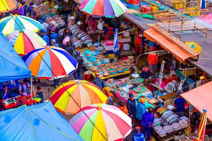The Real Busan: Bamboo Forest, Coast and Local Life Full Day Tour