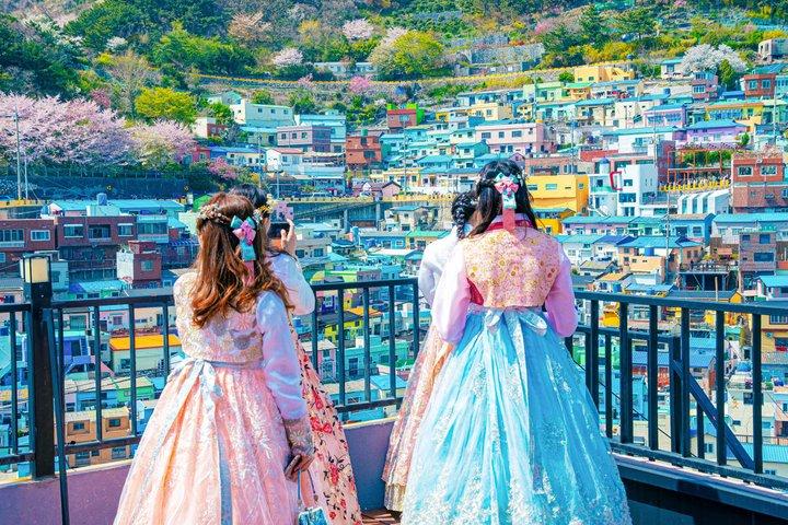 The Real Busan: Bamboo Forest, Coast and Local Life Full Day Tour
