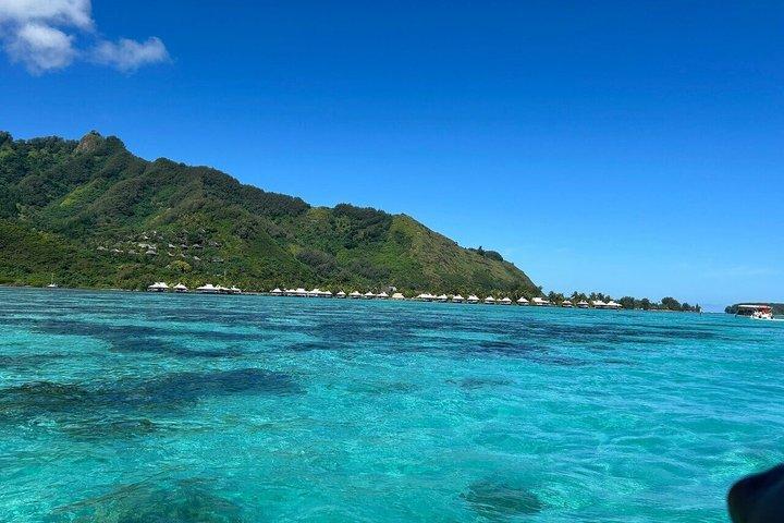 Activity/Excursion Lagoon Tour to Moorea by Canoe 6 hours