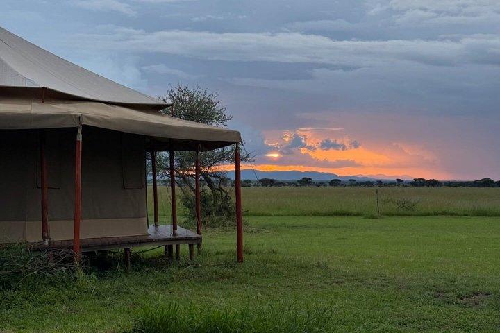 3 Day Tanzania Big Five Joining Group Safari