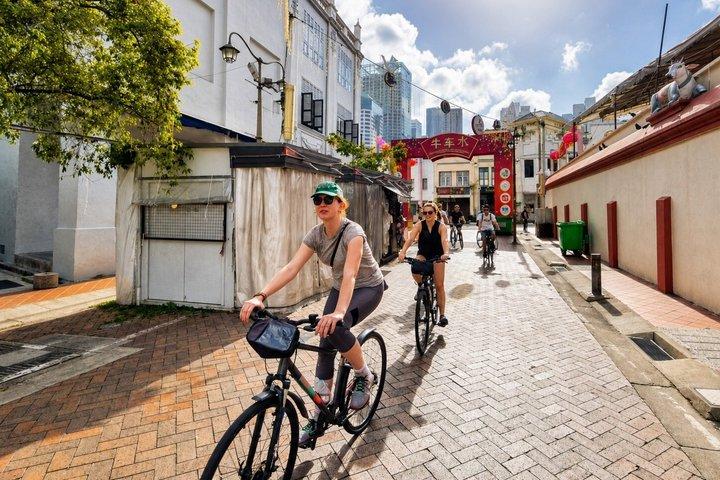 Singapore Bike and Bites: Small Group Food Tour on Bicycle