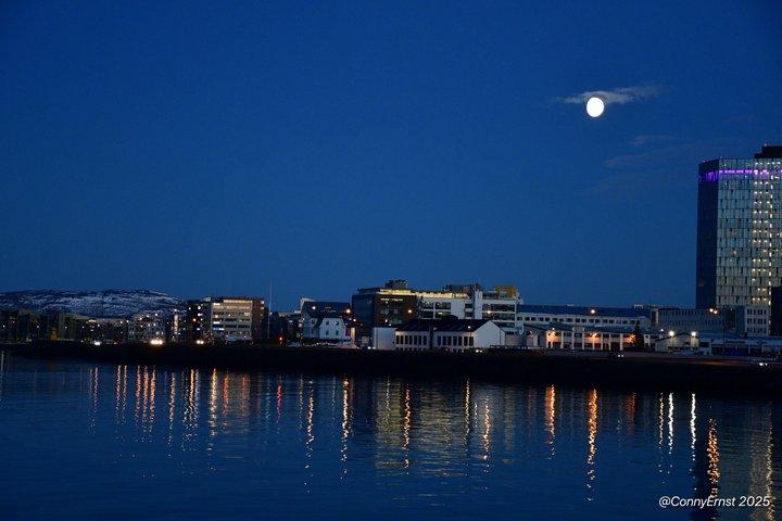 Reykjavik History and Sightseeing Walking Tour