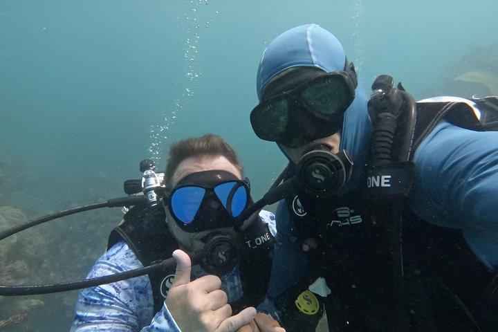 2-Tank Scuba Dive: Puerto Morelos Reef & Shipwreck | Small Groups