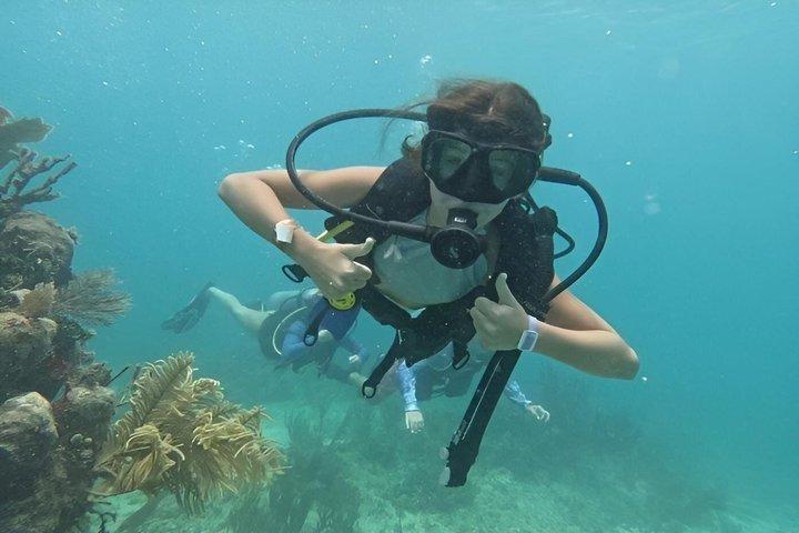 2-Tank Scuba Dive: Puerto Morelos Reef & Shipwreck | Small Groups