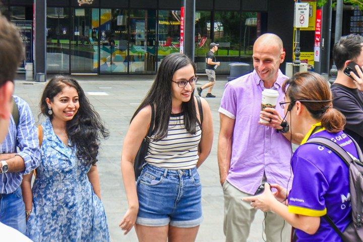 Singapore City Walking Tour: Heartbeat of the City