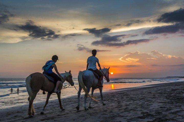 Bali Horseback Riding In Jimbaran Bay Beach Experience