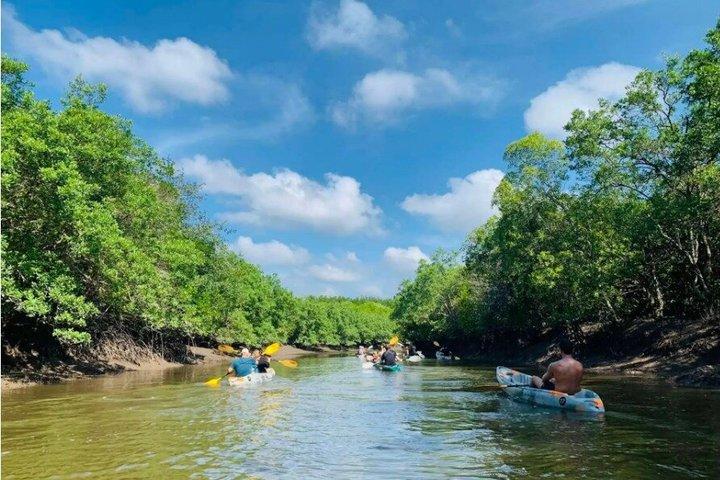 Ko Lanta Mangrove Kayaking and Old town