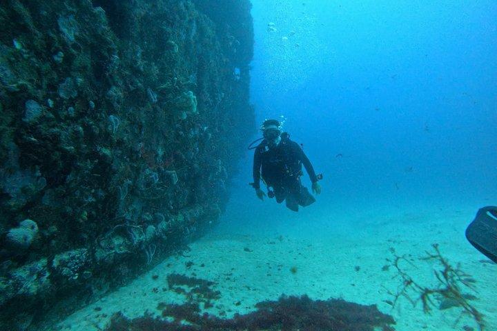 2-Tank Scuba Dive: Puerto Morelos Reef & Shipwreck | Small Groups