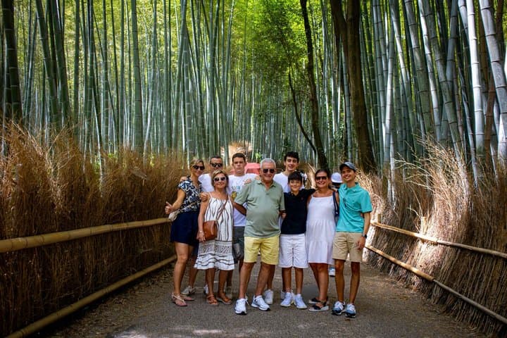 Arashiyama & Nara Highlights: One-Day Private Tour Adventure