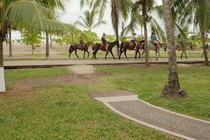 Guided Horseback Riding Tours on Jacó Beach Costa Rica