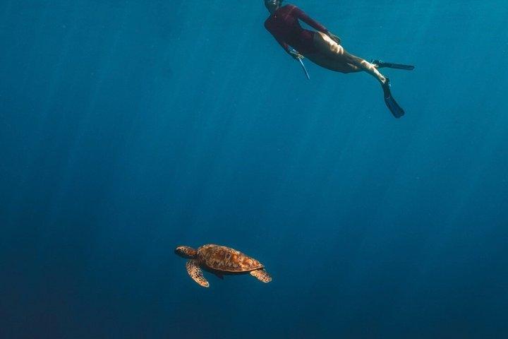 Tahiti Lagoon Snorkeling and Lunch Boat Tour (6 pax max)