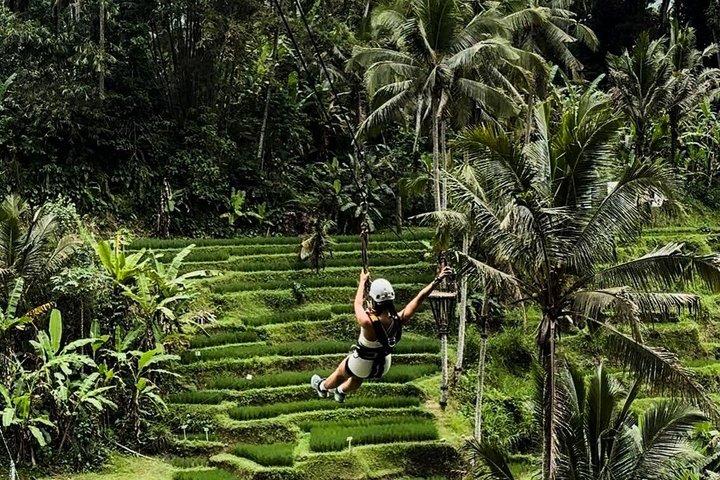 Ubud: Zipline, Sky Bike, And 4 Spot Swing In Private Rice Terrace