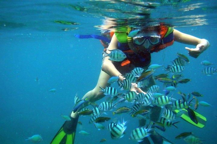 Hon Mun Island Snorkeling Tour with BBQ Lunch Nha Trang