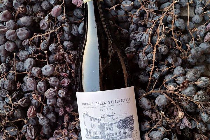 Discover Amarone della Valpolicella 4 different vintages