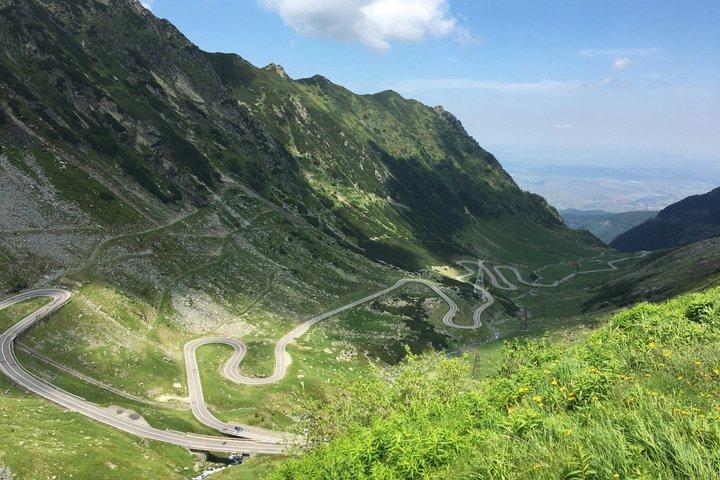Transfagarasan Road Wild Bear Experience from Brasov