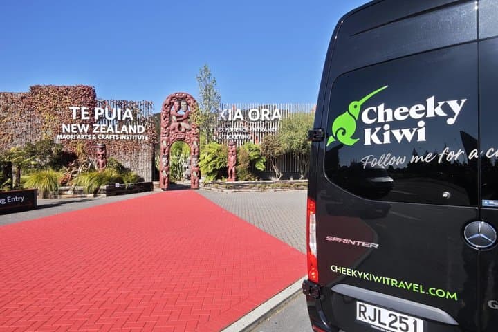 Auckland to Rotorua via Waitomo Caves Small Group Tour (One Way)