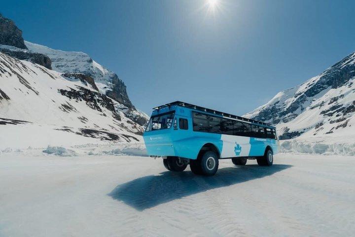 Columbia Icefield, Crowfoot Glacier and Bow ,Peyto Lake Tour