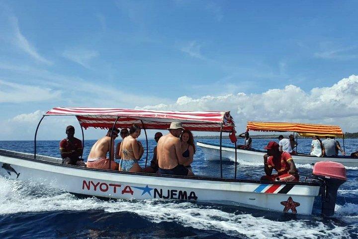 Swim with Dolphin and Snorkeling Adventure at Mnemba Island