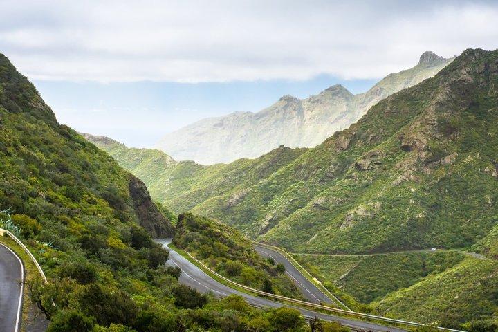 Santa Cruz, Laguna and Laurisilva Forest Tour