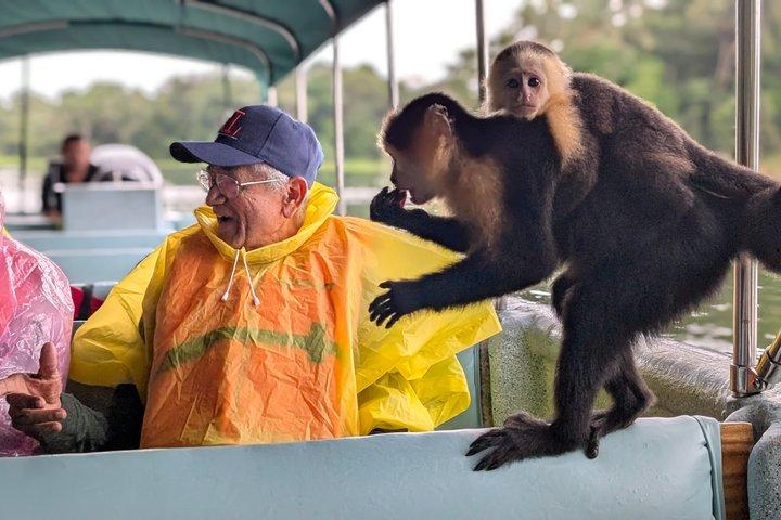 Panama Canal Boat Tour to Monkey Islands