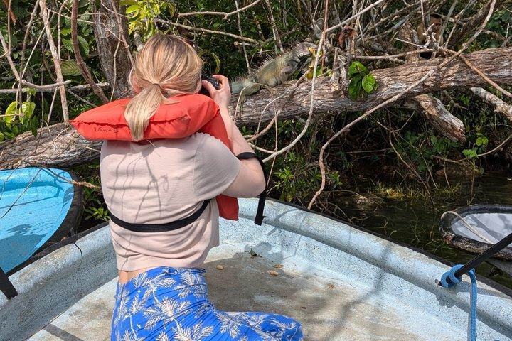 Panama Canal Boat Tour to Monkey Islands
