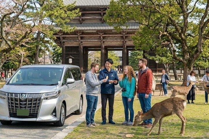 Nara Day Trip from Osaka by Private Car with Licensed Guide