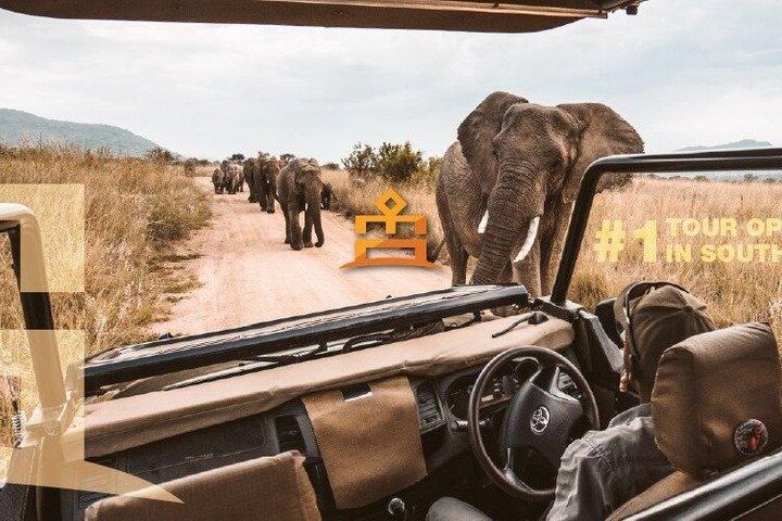 3 Hour Pilanesberg Afternoon Open Vehicle safari drive (Self drive)