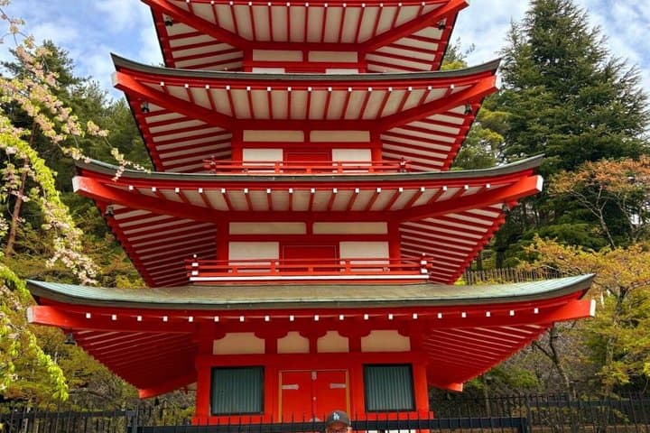 Mt Fuji Private Tour from Tokyo, Licensed (Customizable)