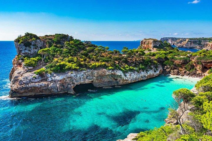 Best Mallorca Coves: Paddle Surf, Snorkeling & Transport
