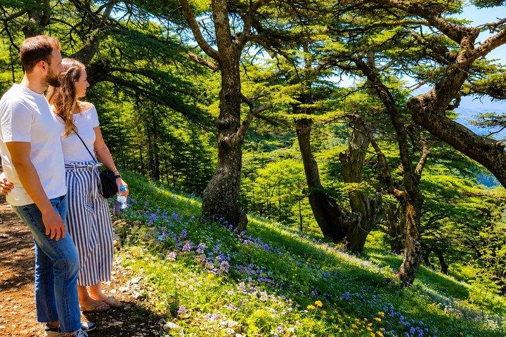 Private Beiteddine, Barouk Cedars Hike & Deir el Qamar | Beirut