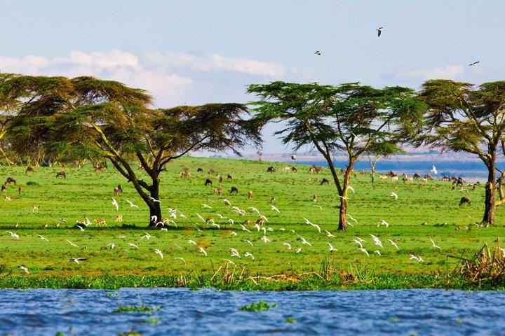 Day Trip to Hell's Gate, Lake Naivasha Tour from Nairobi