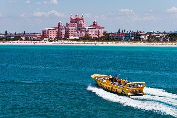 Dolphin Racer Adventure Cruise in St. Pete