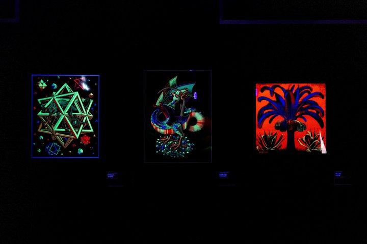 M.C. Escher The Immersive Exhibition Montreal