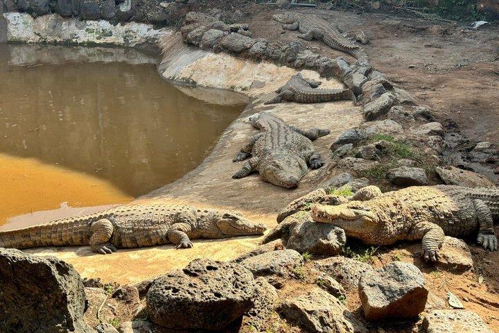 6 Days Wildlife and Scenic Safari in Kenya
