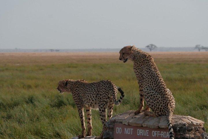 6 Days Wildlife and Scenic Safari in Kenya