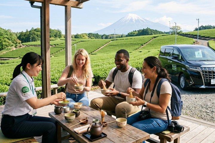 Shizuoka 6hr Private Tour & Japanese Tea Farm Tour with Vehicle