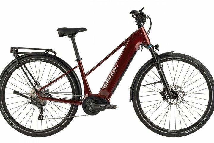 Full day E Bike Rental by the Old Montreal and Lachine Canal