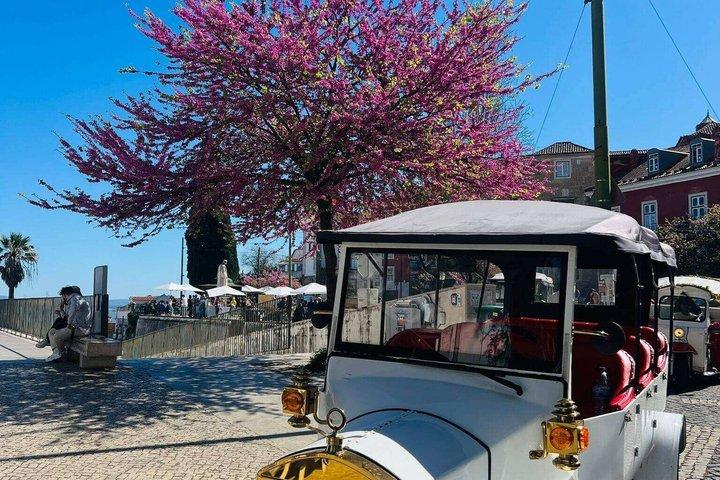 Lisbon tuktuk :Old town Alfama ,Central city and Belem with guide