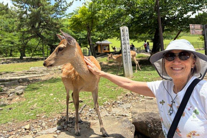 Nara Day Trip from Kyoto: Customized Tour, Licensed Guide
