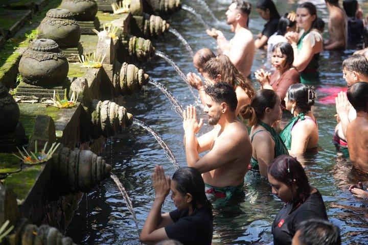 Ubud Tour: Monkey Forest, Jungle Swing, Tegalalang Rice Terrace