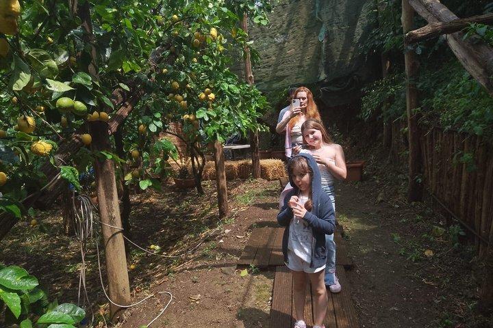 Sorrento Food and Drink Walking Tour
